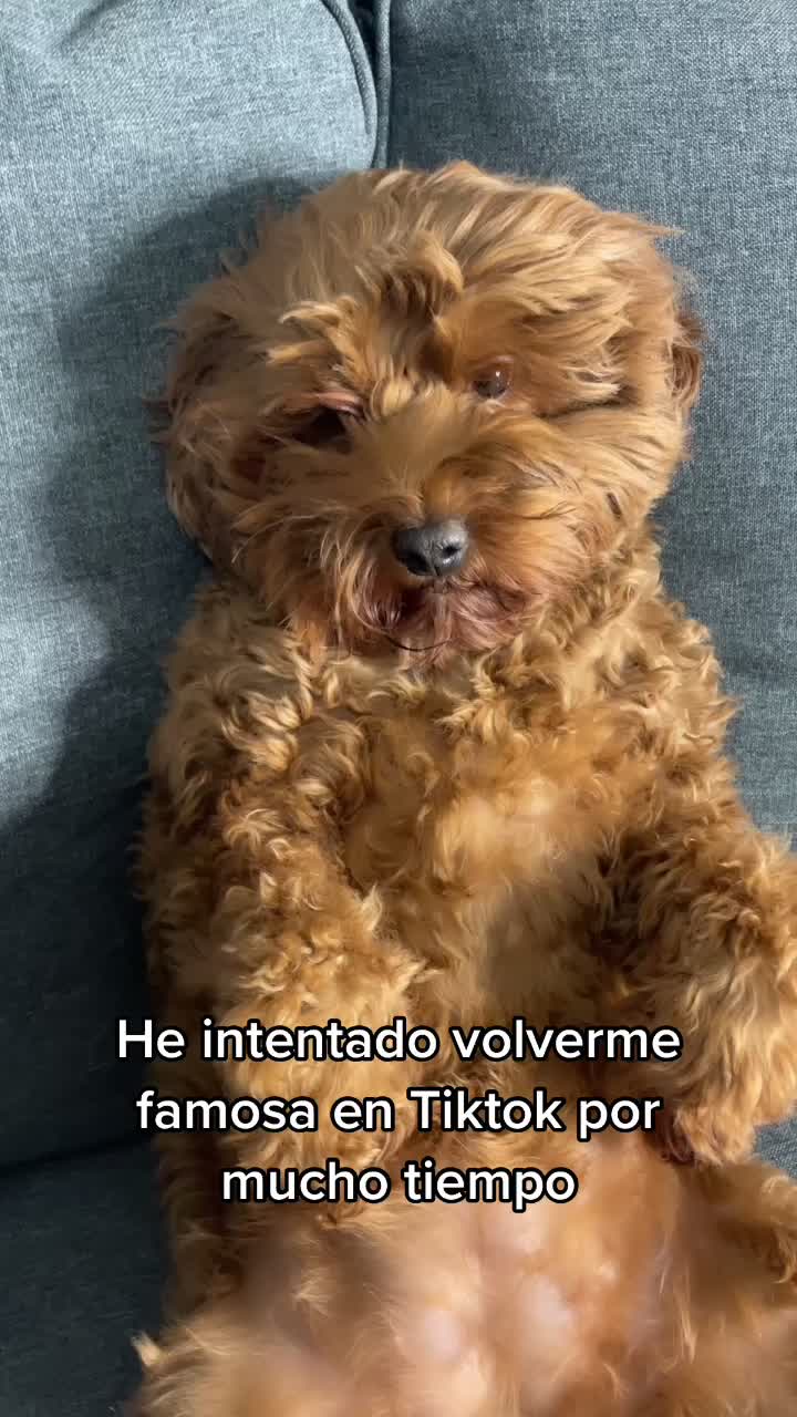 @Karen Franciosa