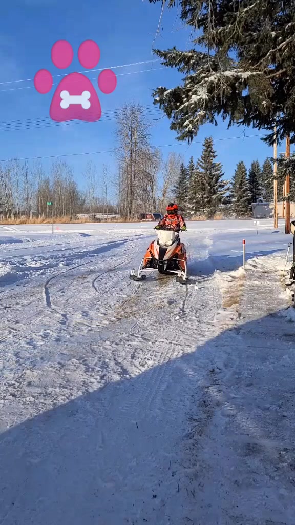 @Everett Pockett 🇨🇦