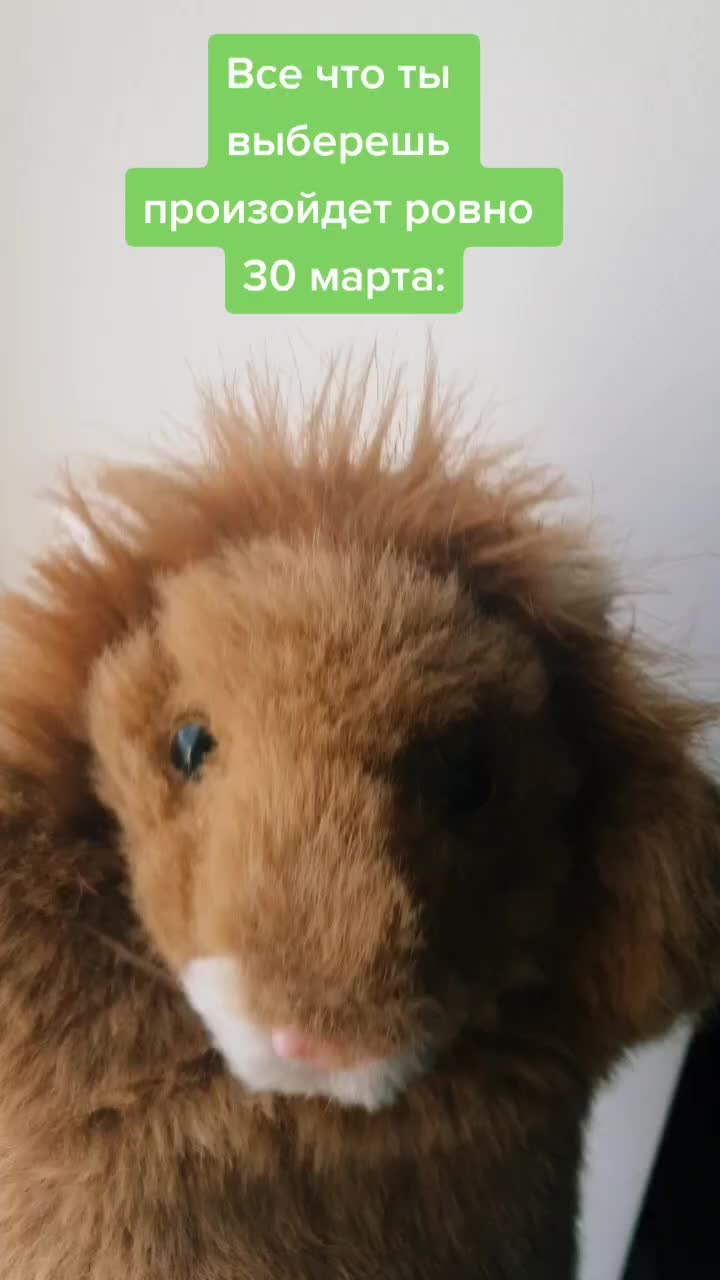 @Львенок Симба