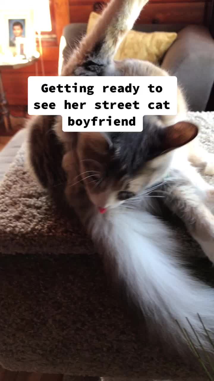 @MamaSandalwood