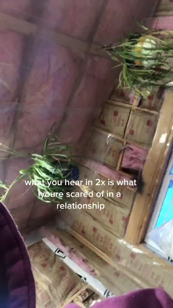@angelica and friends