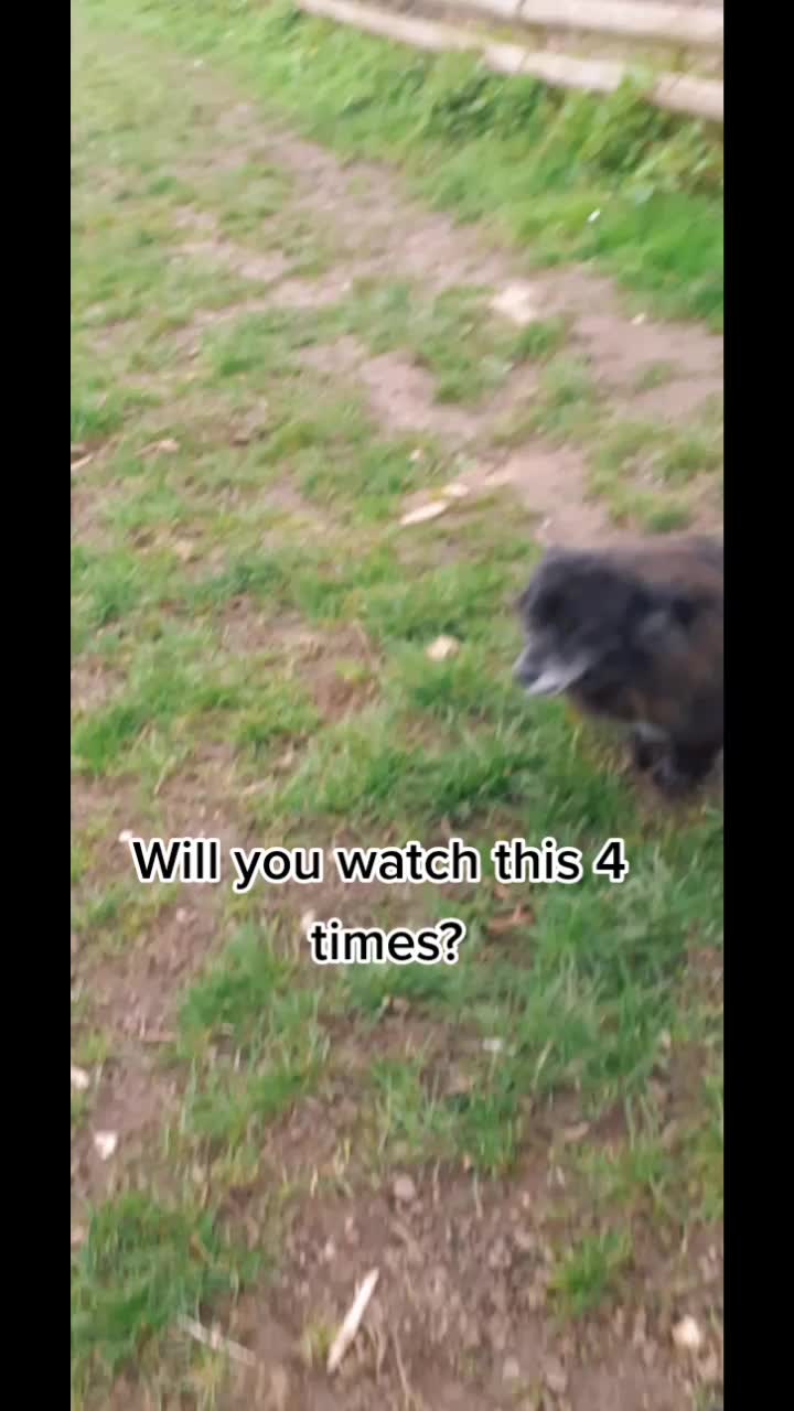 @Meme and family