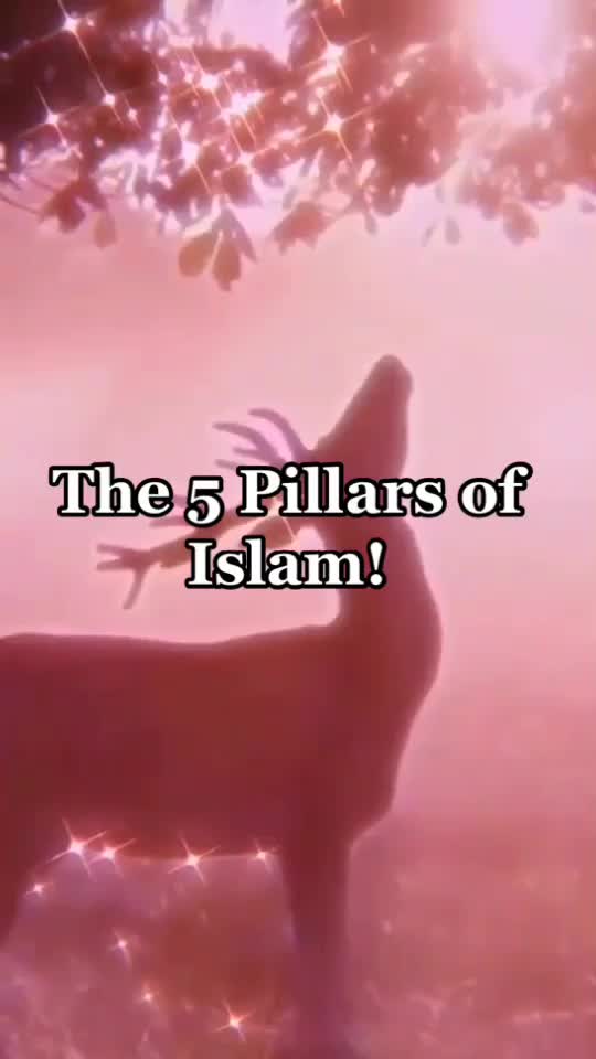 @Allahuakbar ❤️