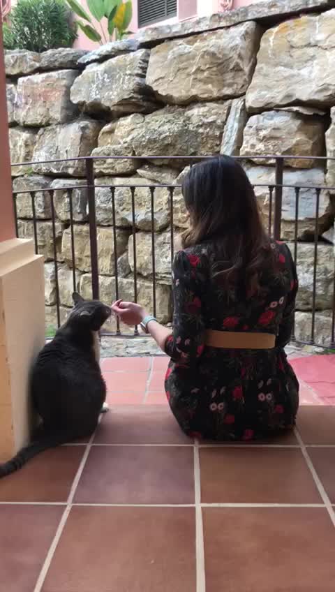 @Pettans