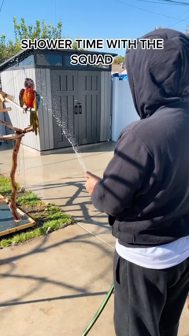 @XSQUAD