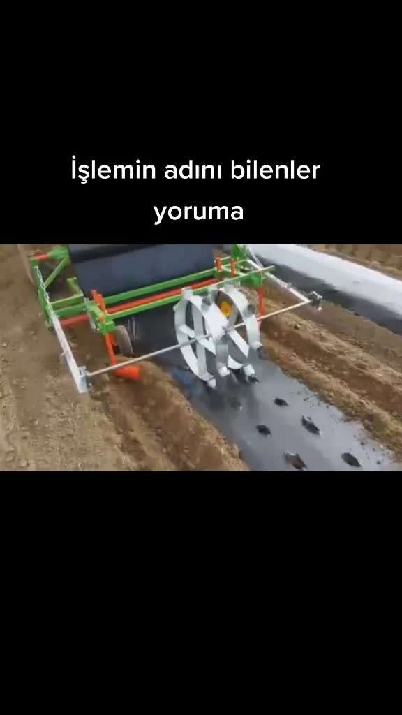 @TarimTubb