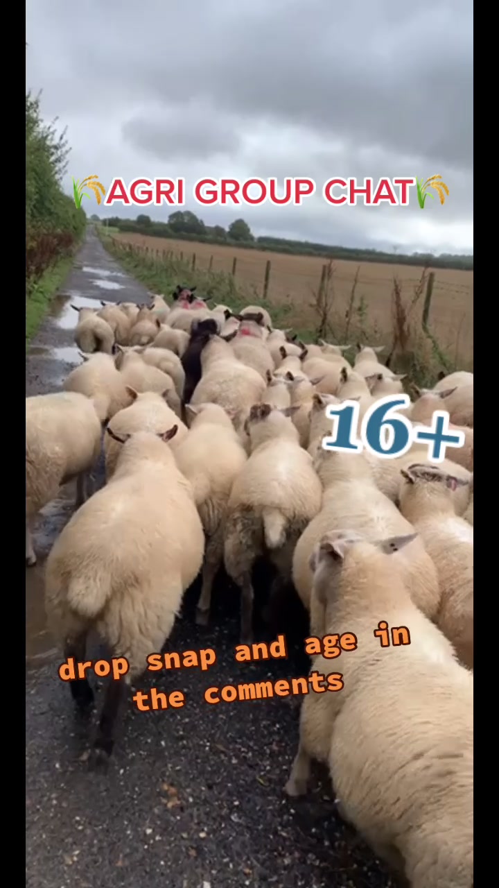 @AGRI SLAGS