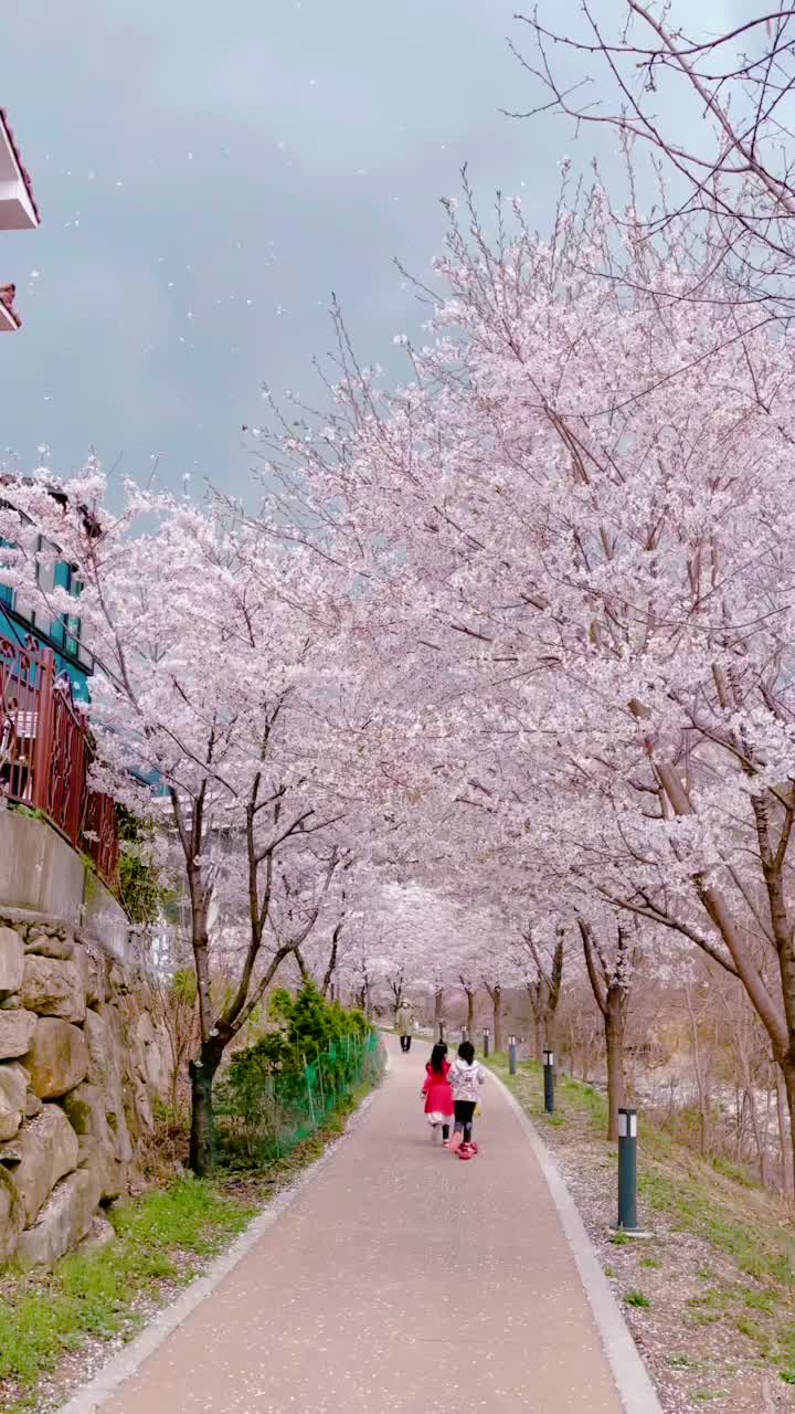 @jihye🖤