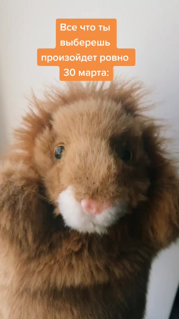 @Львенок Симба