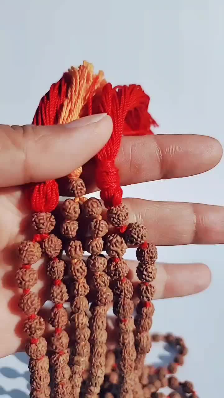 @nepal rudraksha