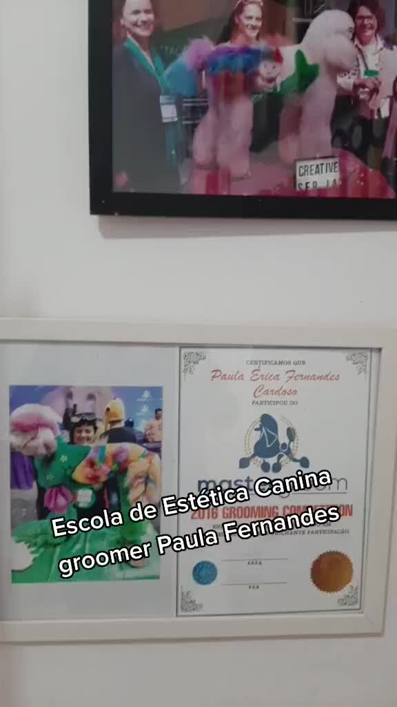 @groomerpaulafernandes