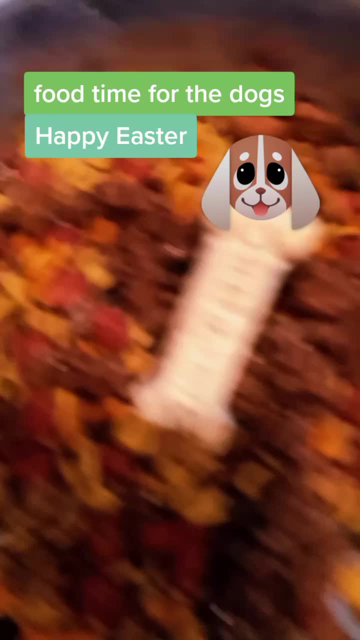 @user2087095124496