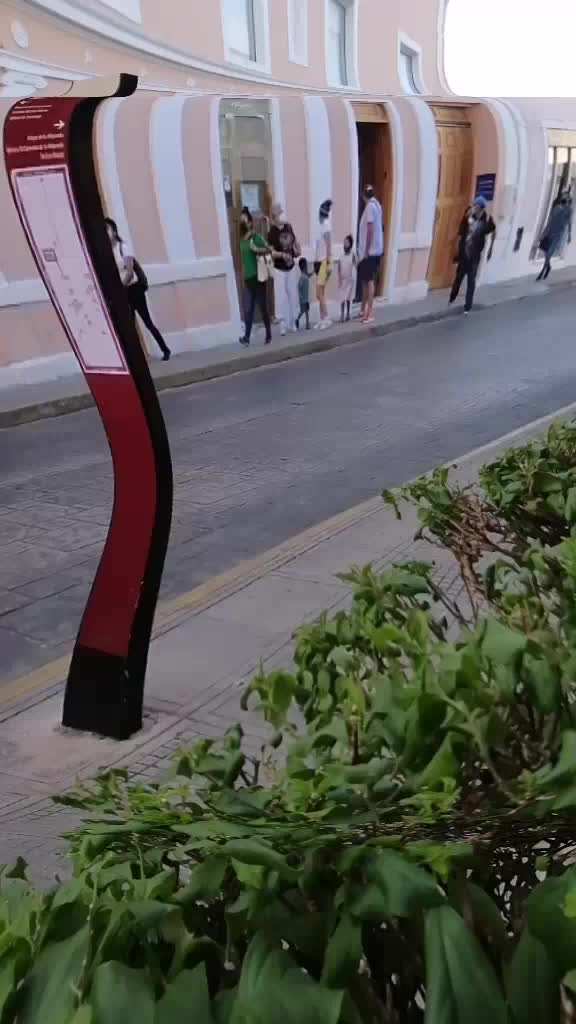 @Ilena Fernandez Tama