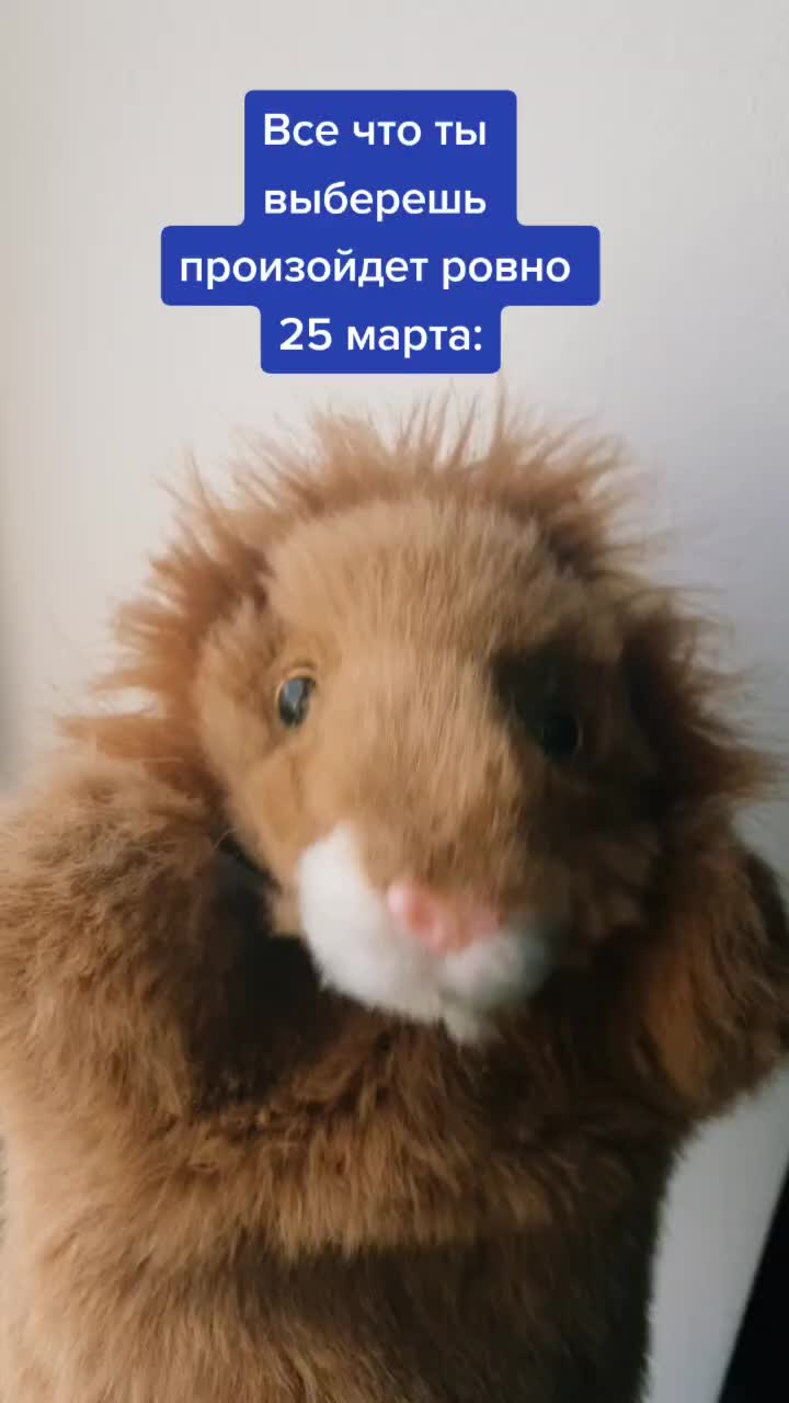 @Львенок Симба