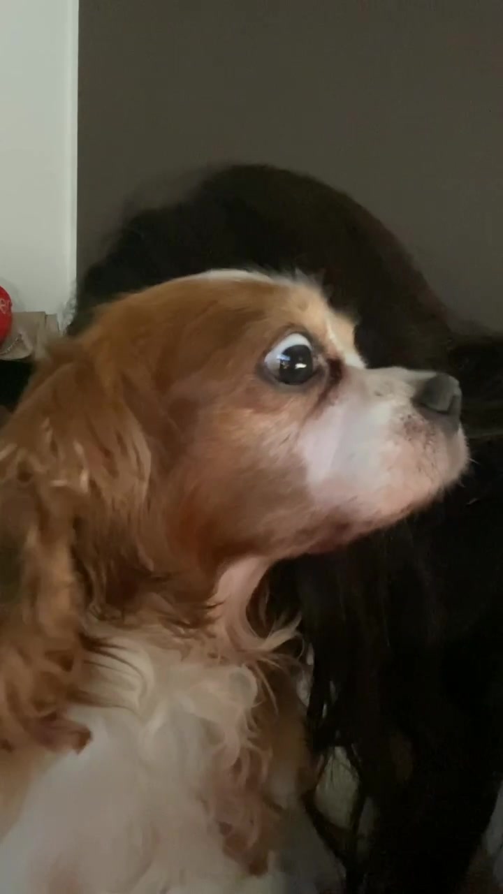 @Roberta Tik Tok