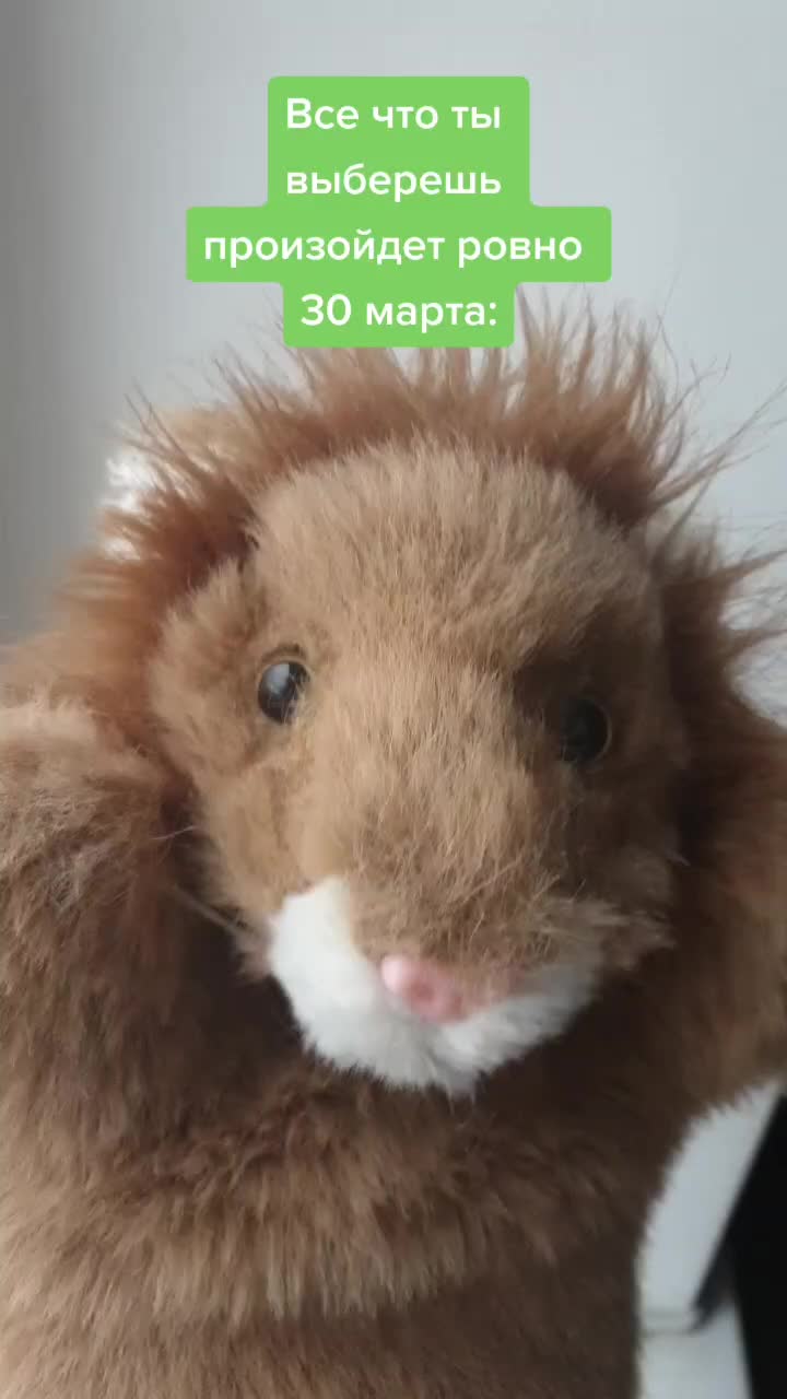 @Львенок Симба