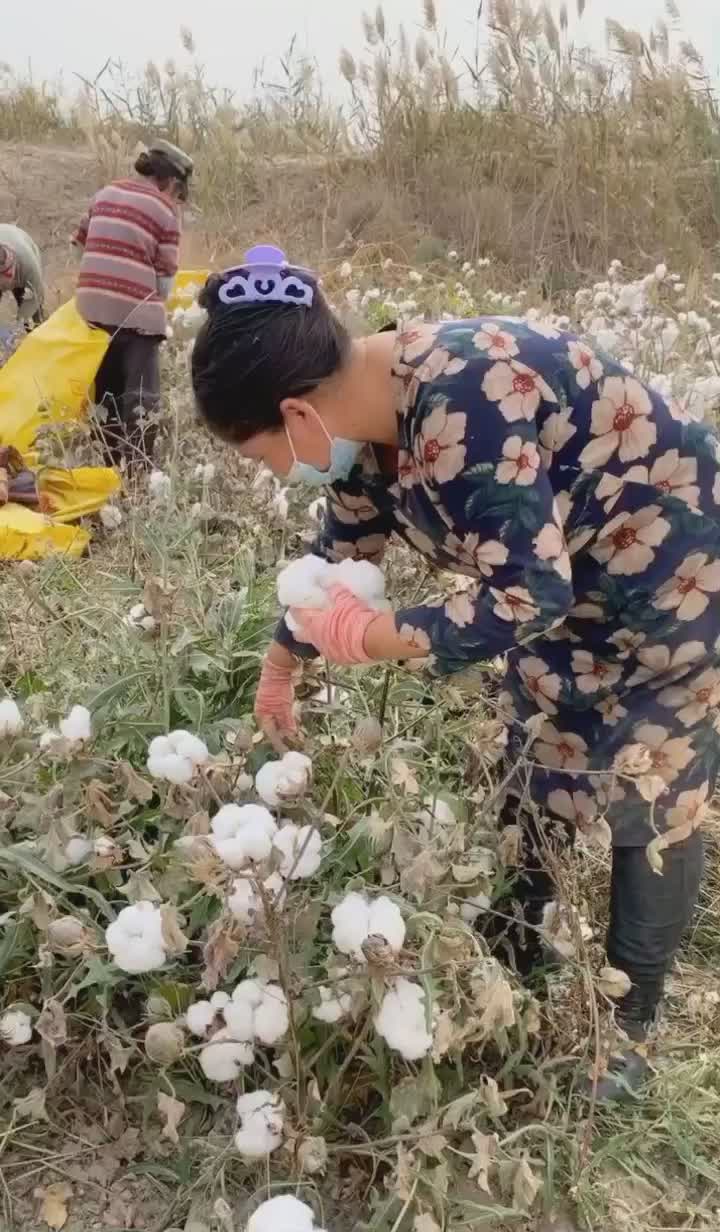 @uyghursvoice