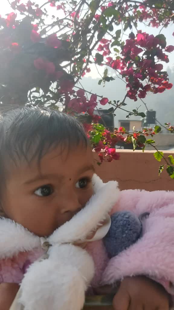 @Amrita Aryal
