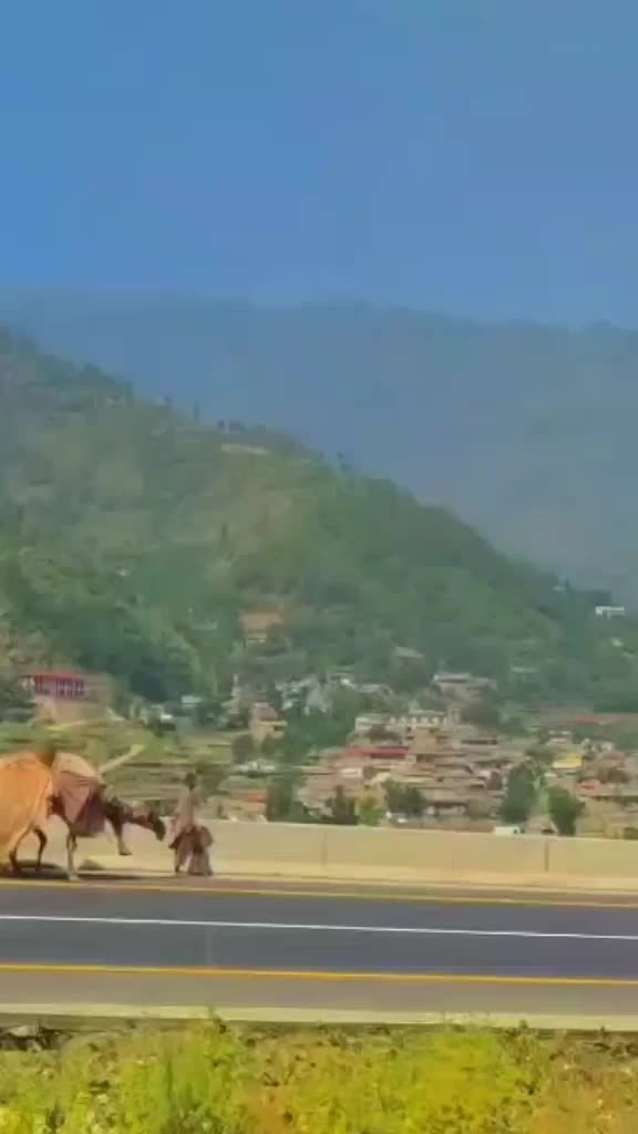 @inzamamshah14