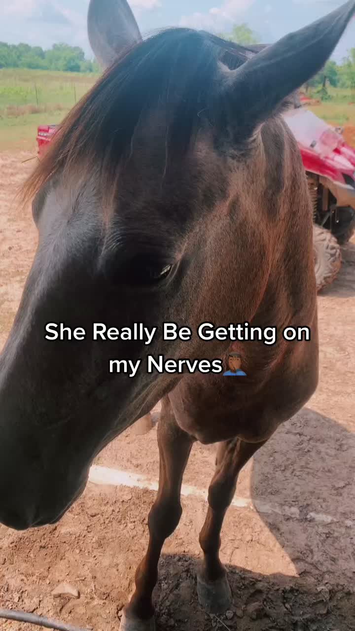 @J.T Northcross🤪