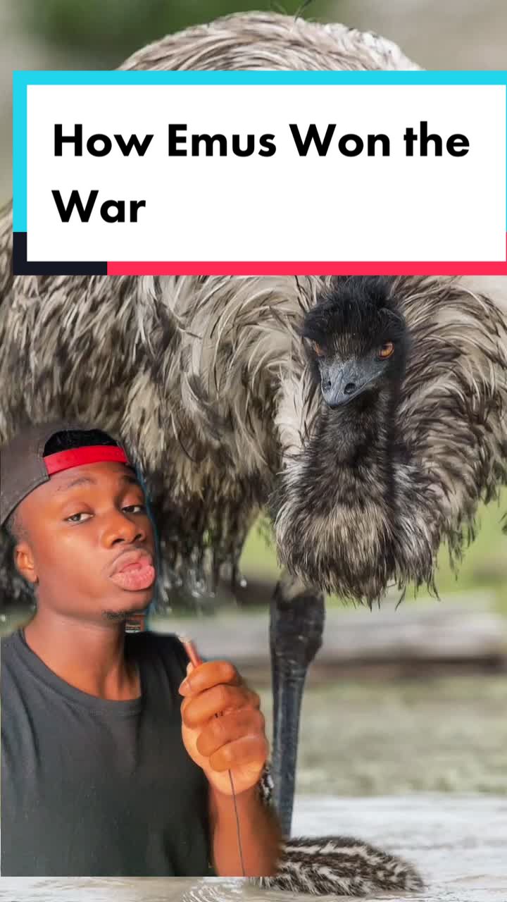 @mndiaye_97
