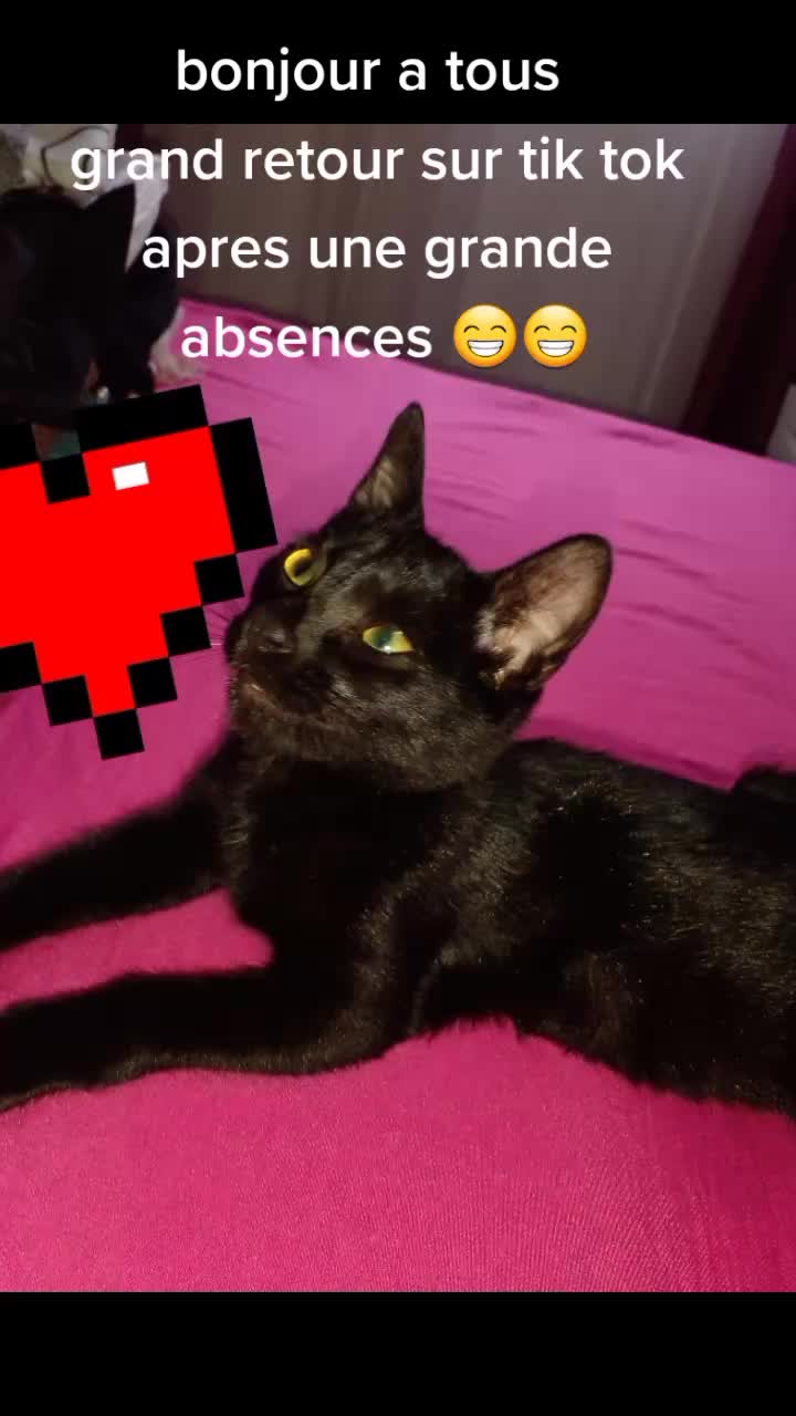 @Lisa ❤❤