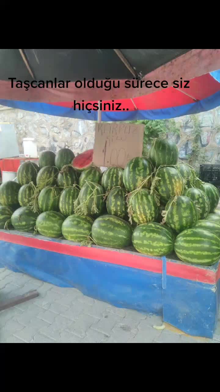 @ey&uuml;pcan13