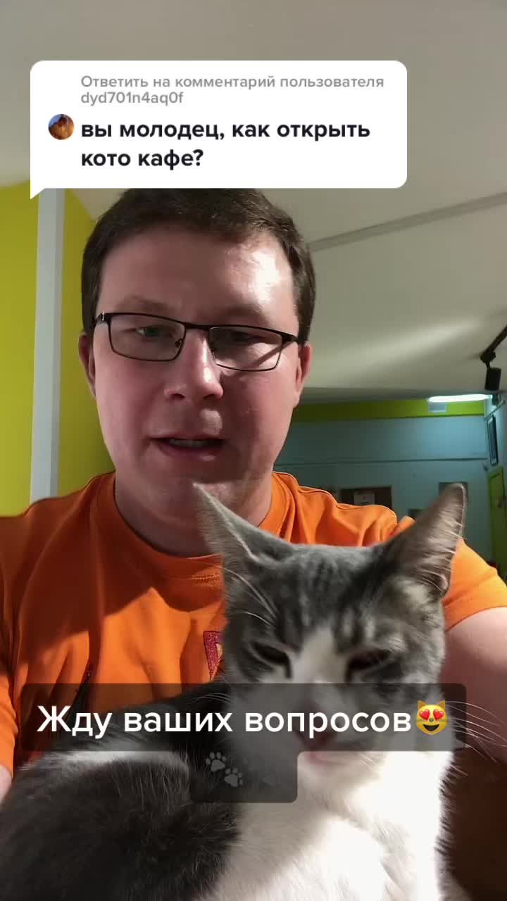 @Антошкин Кот