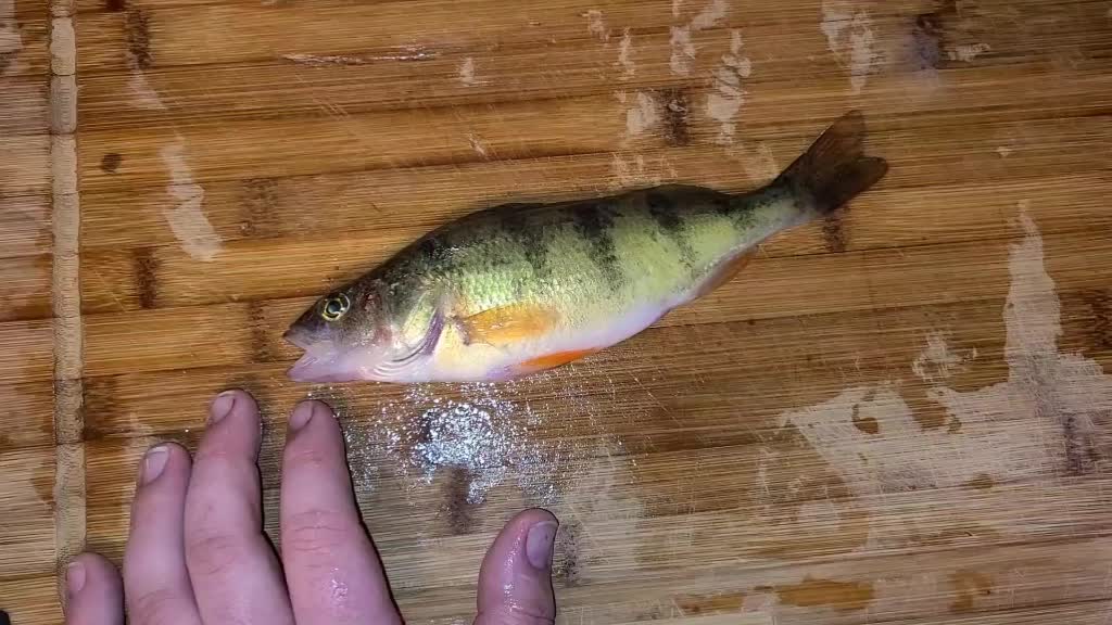 @Out of da Blue Fishin