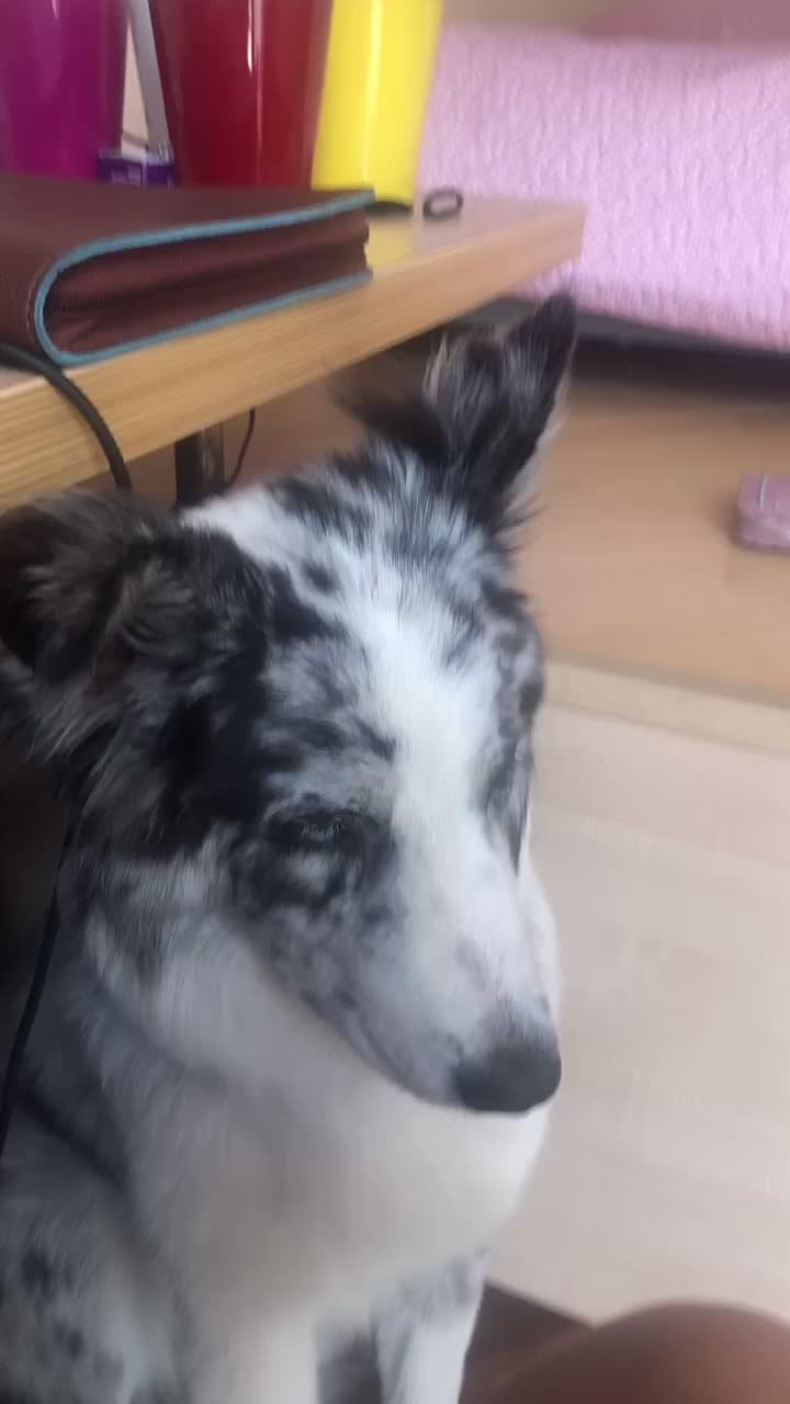 @&Ccedil;&ouml;ra M&aring;zz&auml;gāttį