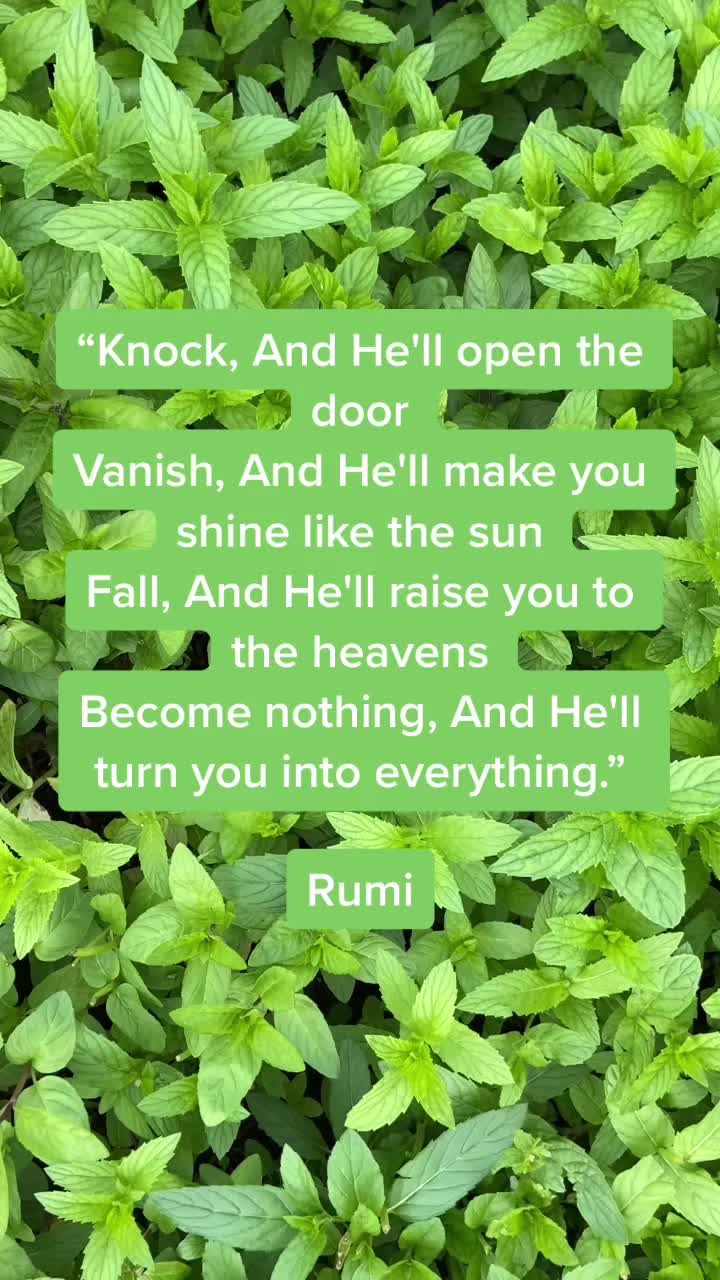 @Myinnerpeace3