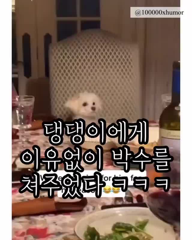 @김미진