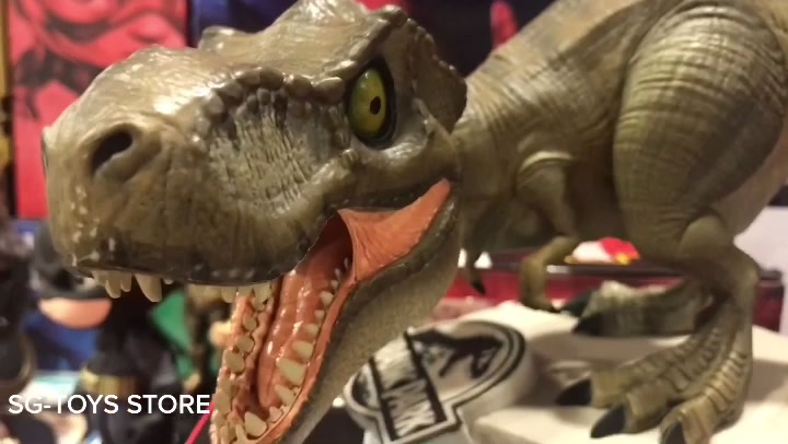 @SG-Toys Store