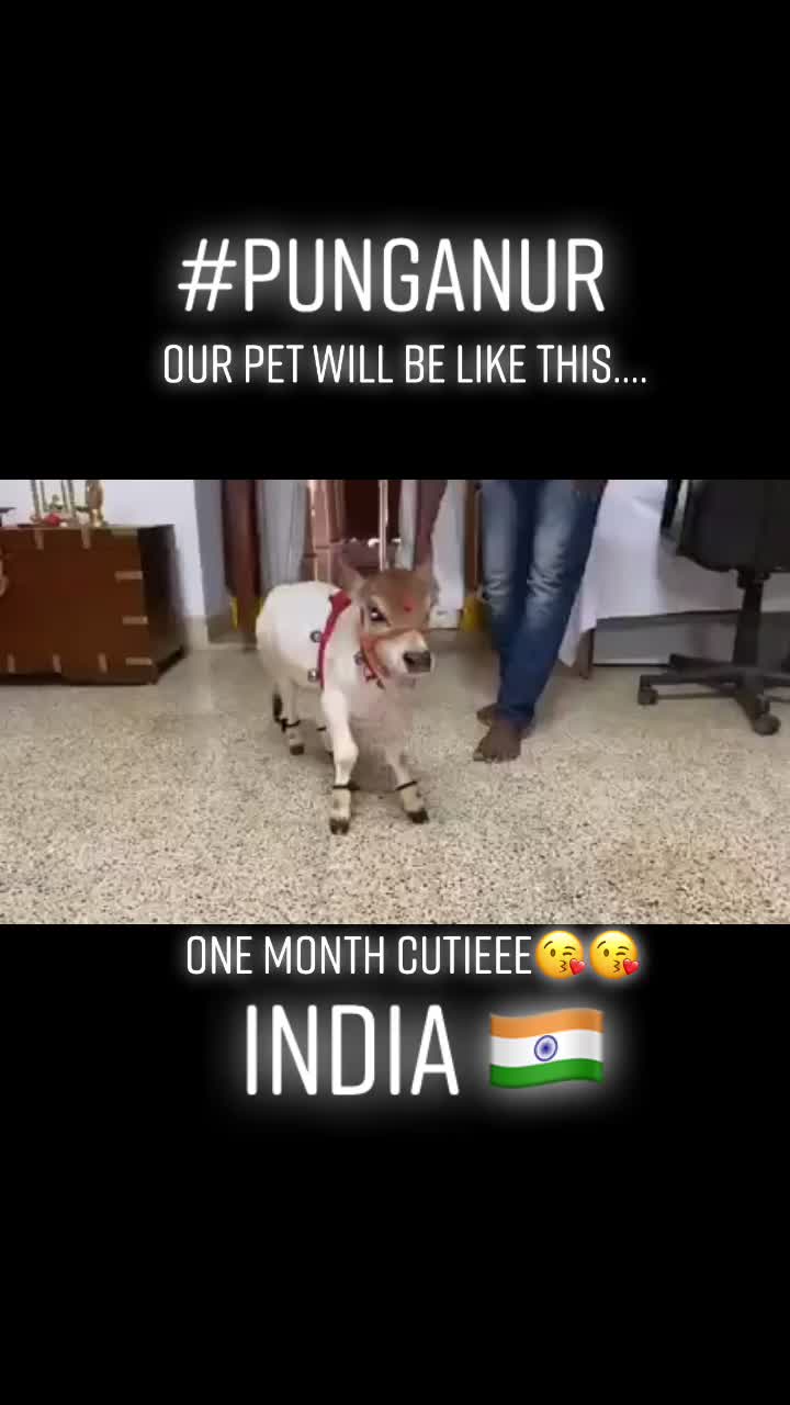 @Jayaprakash21