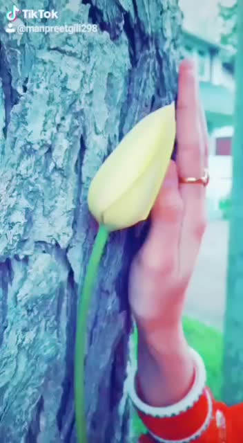 @Lakhwinder