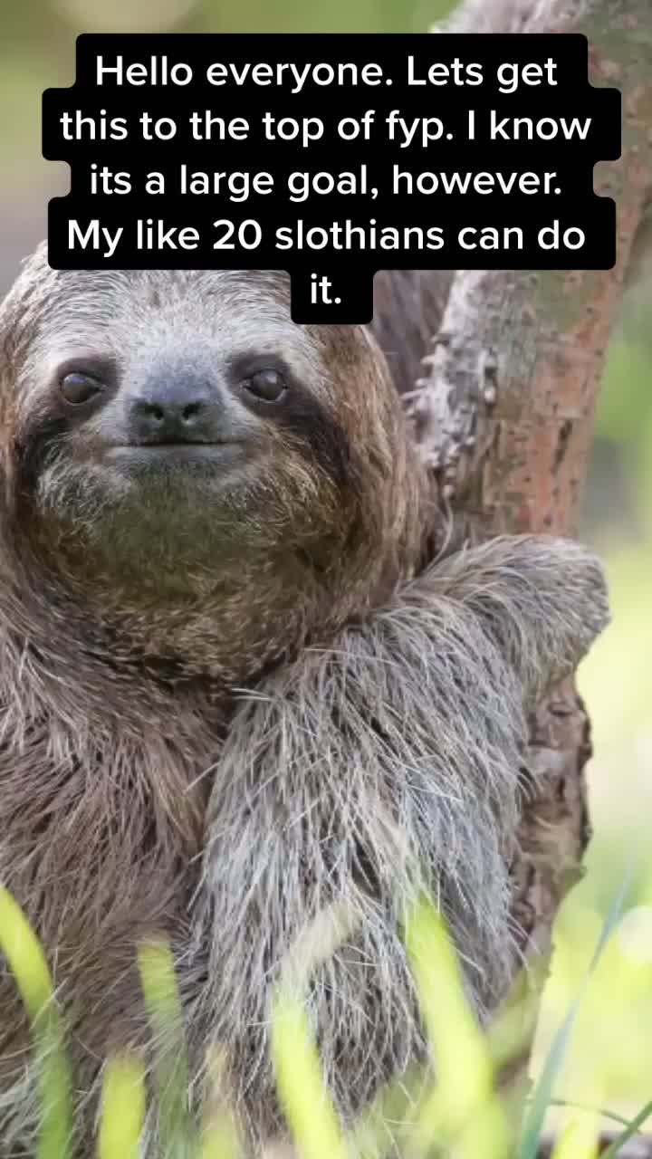 @I exist only as sloth.