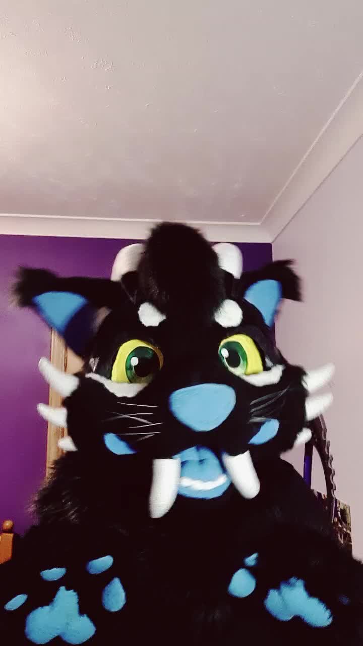 @Kittypantherlion100
