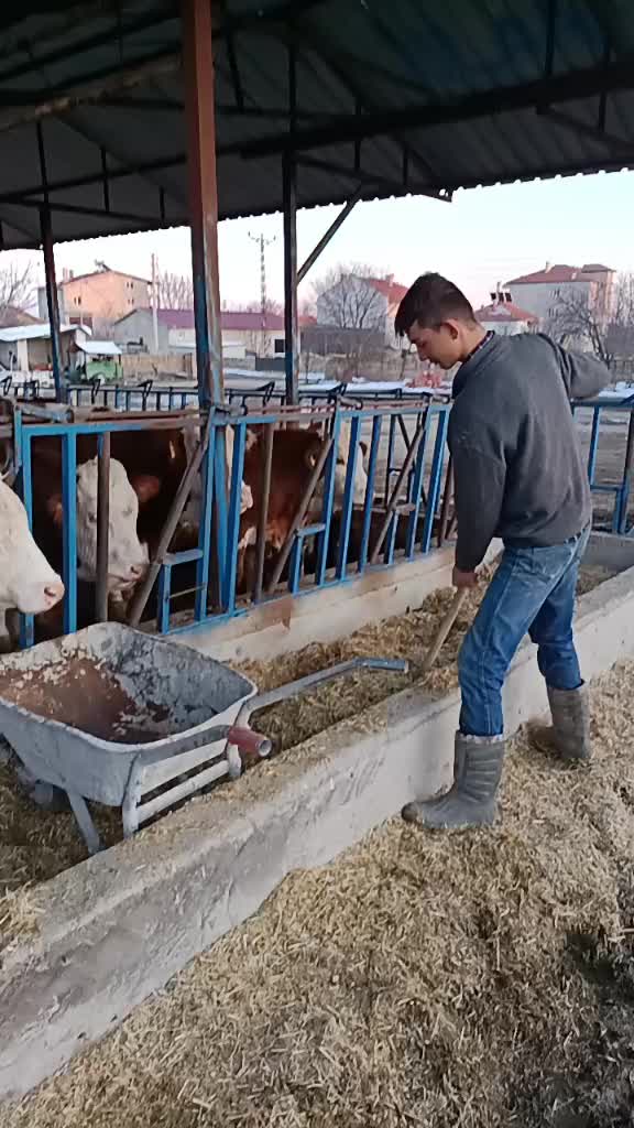 @Emmi Oğulları