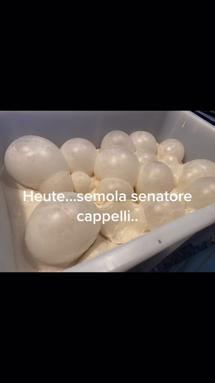 @Squitieri Gaspare