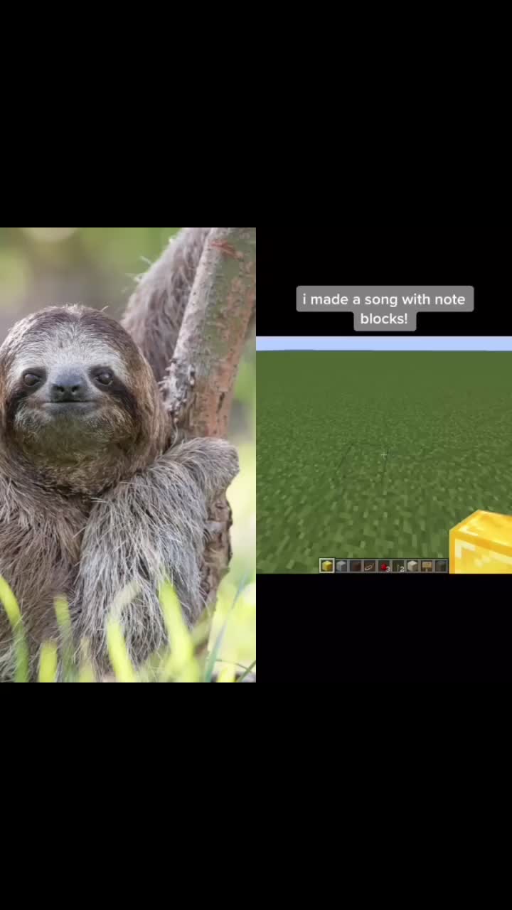 @I exist only as sloth.