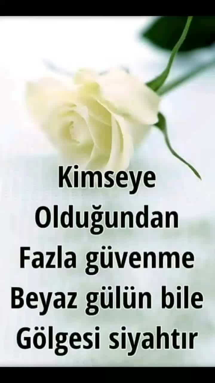 @sevgi