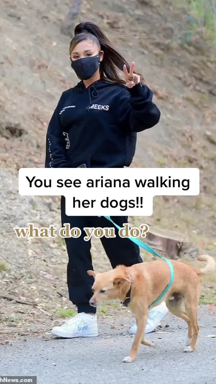 @Ariana || 10.4K