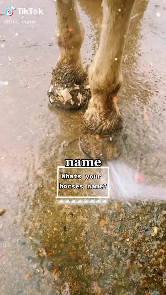 @𝐧𝐨𝐭𝐢𝐜𝐞𝐝 0𝐱