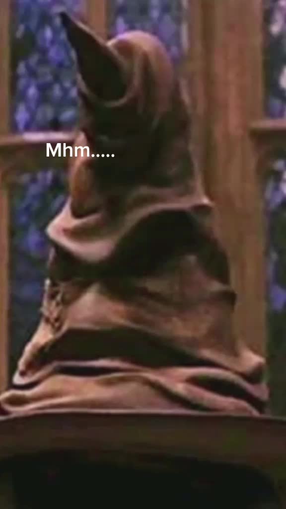 @harry_potter_fanpage