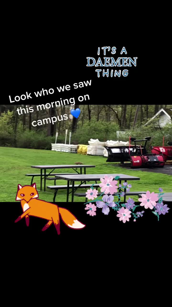 @Daemen University
