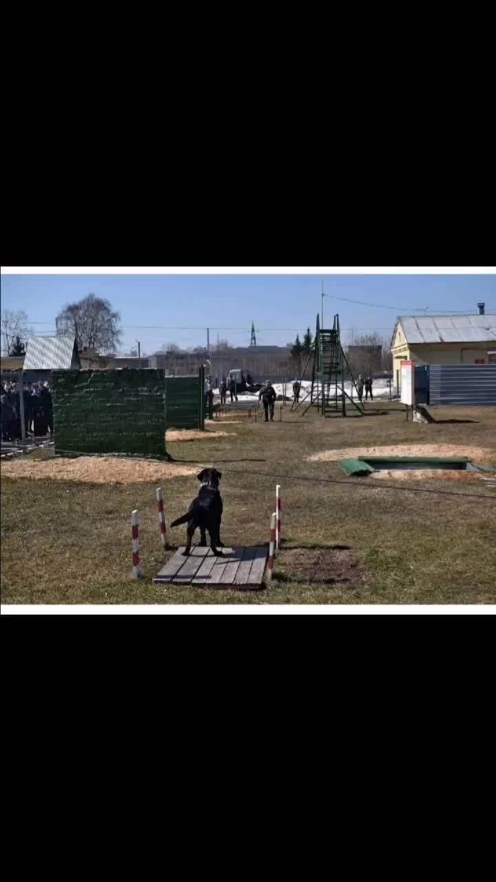 @Герда