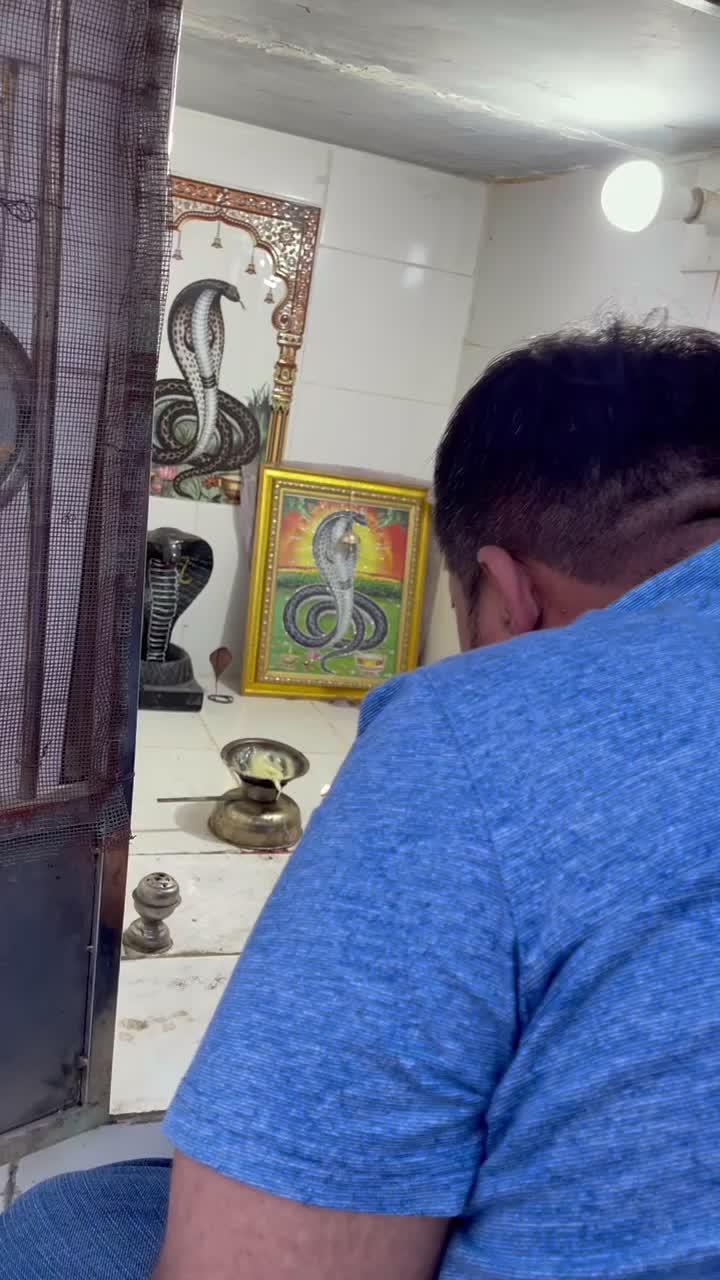 @Pintupatel5617