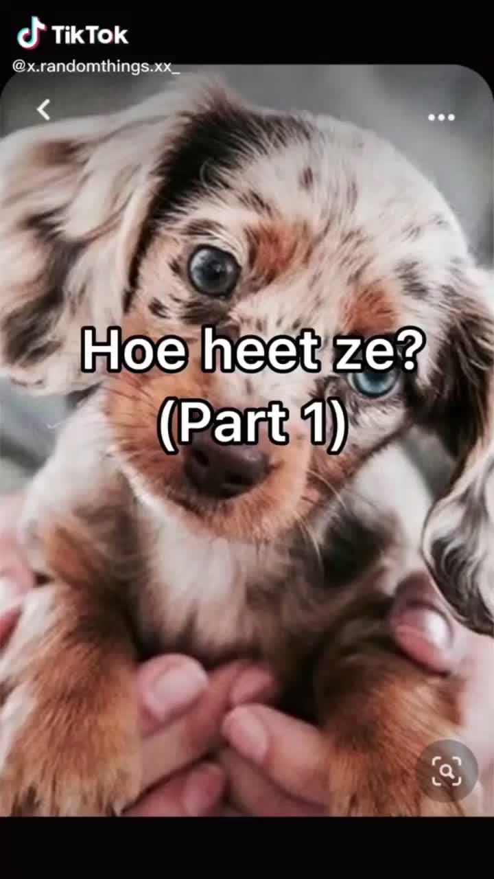 @☺️💕💕