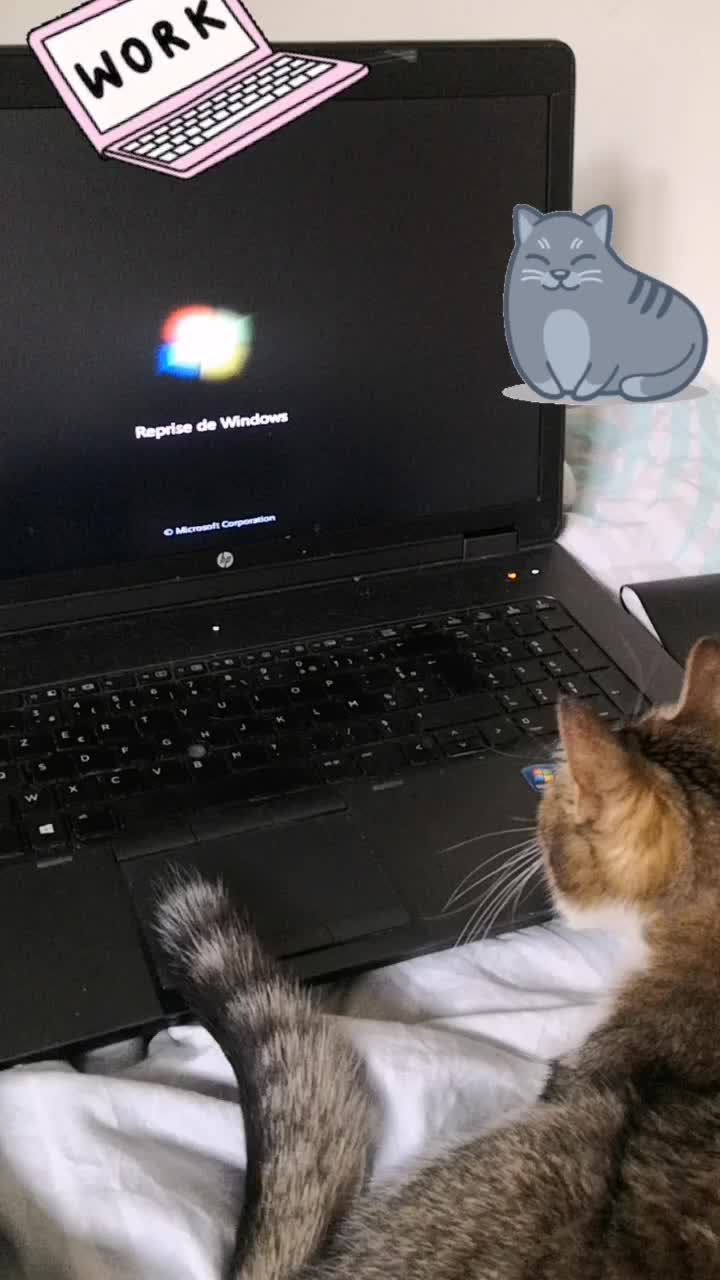 @P&ecirc;che 😺