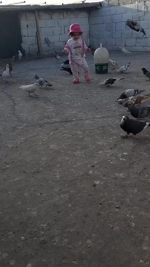 @G&uuml;ler H&uuml;nkar Yoldaş
